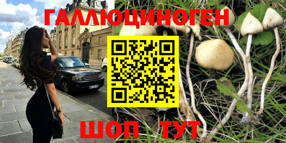 где можно купить   Вход с VPN  Полысаево  Галлюциногенные грибы MAGIC MUSHROOMS  Галлюциногенные грибы мицелий 